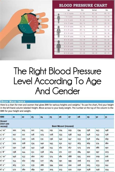 Blood Pressure Chart For Age And Gender