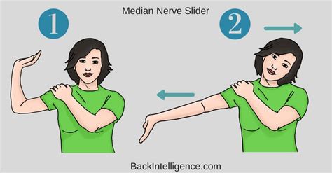 It is one of the five main nerves originating from the brachial plexus. Pin on Health