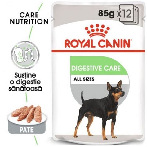 Two great dog food brands, but which is right for your pooch? Royal Canin vs. Hills. Ce mâncare alegem pentru câinii cu ...