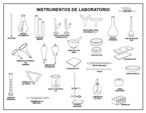 Instrumentos De Laboratorio Para Imprimir En Pdf