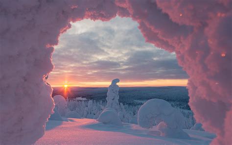 When The World Turns Pink Sunset Amongst The Snow Clad Trees At