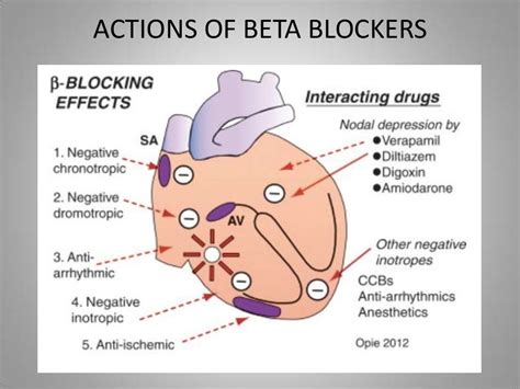 Beta Blockers In Cardiovascular Diseases