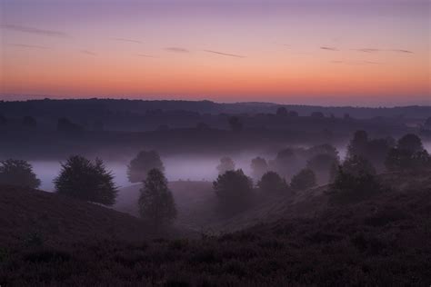 Foggy Sunrise On A Heath Landscape And Travel Photography Forum