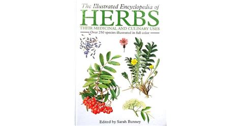 The Illustrated Encyclopedia Of Herbs Their Medicinal And Culinary