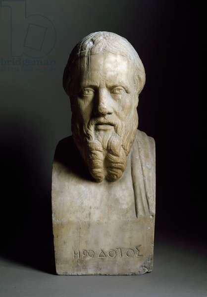 Bust Of Herodote Herodotos 484 425 Bc Greek Historian Marble