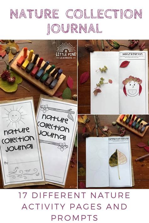 Try Using Nature Collection Journal As A Fun And Hands On Way To Learn