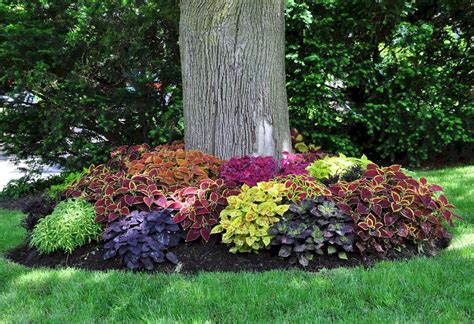 Cheap Landscaping Ideas For Your Front Yard That Will Inspire You 6