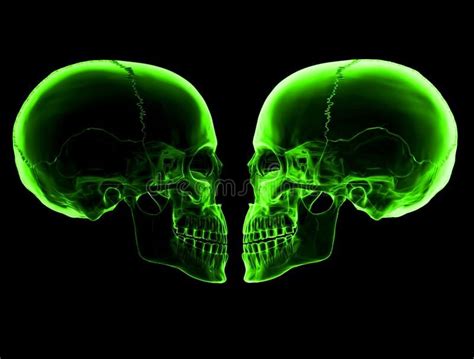 Green Skulls Illustration Of The Green Skulls Background Sponsored
