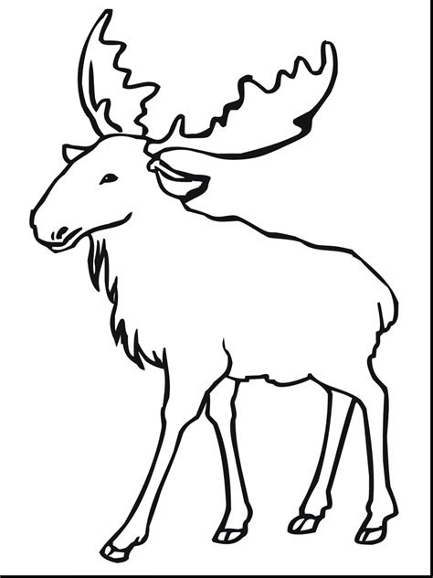 Moose Drawing For Kids at GetDrawings | Free download