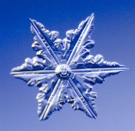 As Shown In This Beautiful Photo Snowflakes Always Have Six Sides The