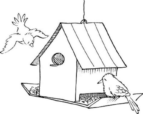 Realistic Birdhouse Coloring Pages Bird Coloring Pages Bird Feeders