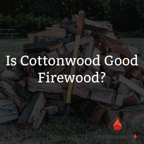 Is Cottonwood Good Firewood Or Softwood Quick Answer