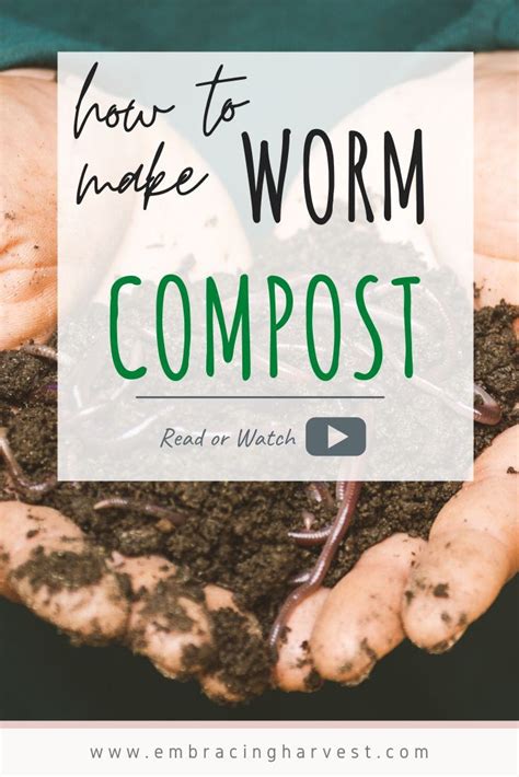 Vermicomposting Faqs Learn About Worm Composting At Home Worm