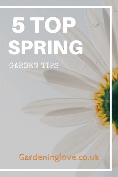 Prepare Your Garden For Spring Follow These 5 Top Spring Garden Tips