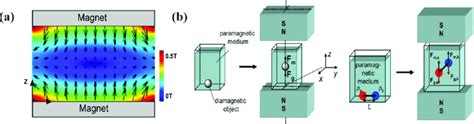 Magnetic Levitation Theory And Technology A 3d Magnetic Field