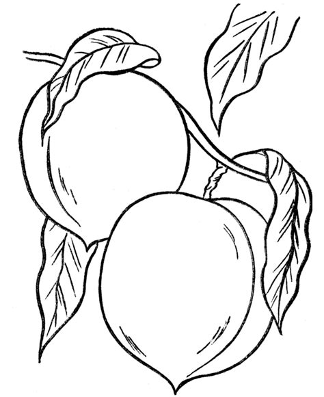 Peach Coloring Pages - Best Coloring Pages For Kids in 2021 | Tree