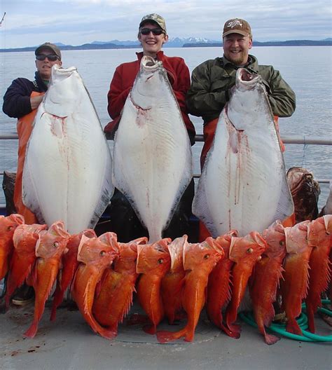Salmon Fishing In Kodiak Alaska Slaveryinamerica20thcentury