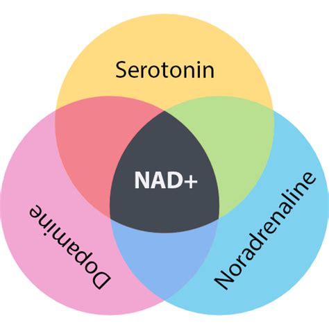 The Relationship Between Nad And Stress Invita Wellness