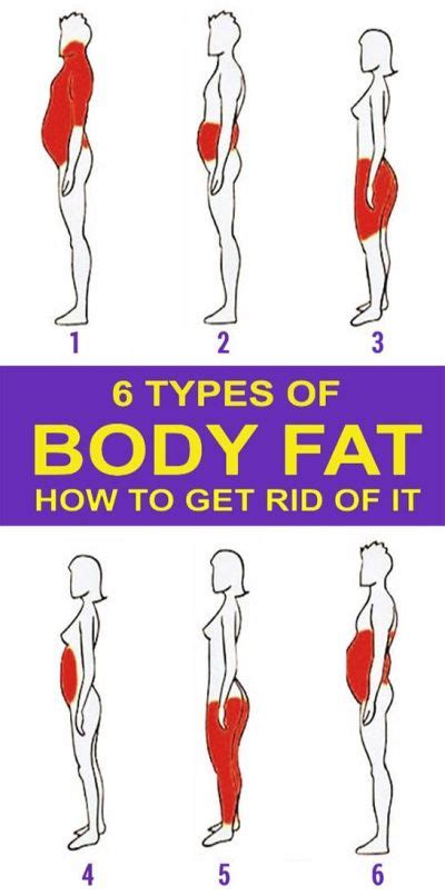 Some of the reasons that cause fat to store in this part of the body are stress, depression, and anxiety. 6 Types of Body Fat and How to Get Rid Of It - Etips