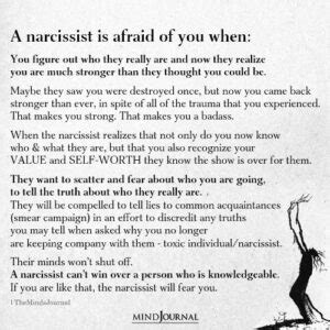 Manipulation Is When They Blame You Narcissist Quotes