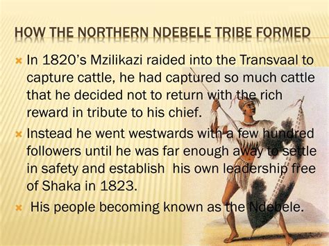 Ppt The Rise Of The Ndebele Under Mzilikazi Powerpoint Presentation