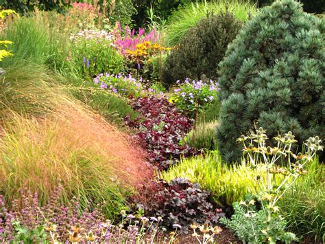 In total, there are over 8,000 species and varieties of plants on display. Foggy Bottom Garden
