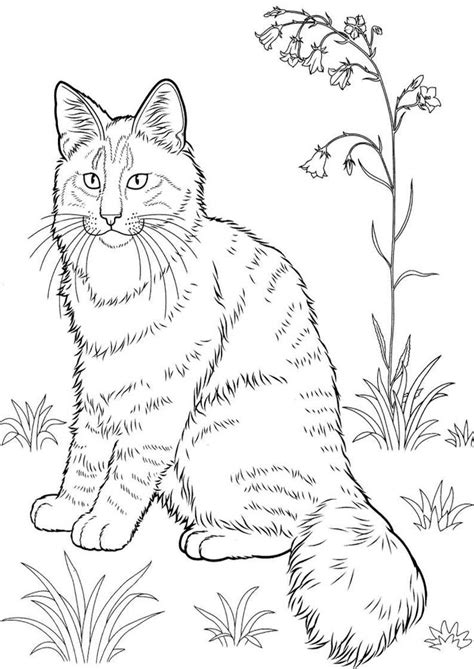 This kitten coloring pages will helps kids to focus while developing creativity, motor skills and color recognition. Tabby Cat Coloring Pages at GetColorings.com | Free ...
