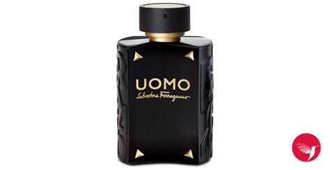 Perfume fragrances for men bundle. Uomo Salvatore Ferragamo Limited Edition Salvatore ...