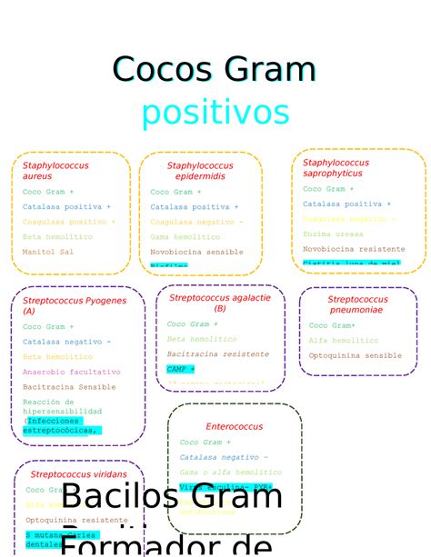 Resumen Micro Cocos Gram Positivos Cocos Gram Enterococcus Coco Gram