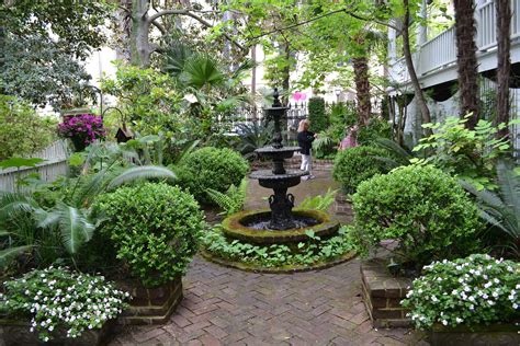 Savannah Botanical Gardens Everything You Need To Know