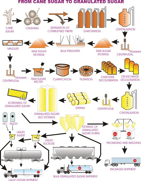 Manufacturing Process Sugar