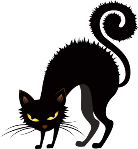 Download High Quality Cat Clipart Scary Transparent Png Images Art