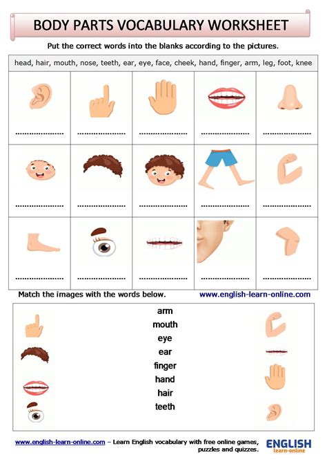 Body Parts In English 👨 With Games And Listed Images Learn English