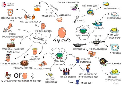 Vocabulary Egg English Idioms Learn English Vocabulary Vocabulary
