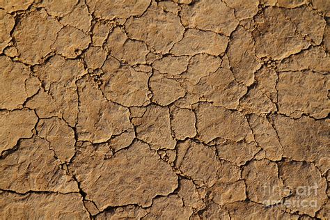 Dry Cracked Earth And Dirt With Grains Of Sand Photograph By Elite