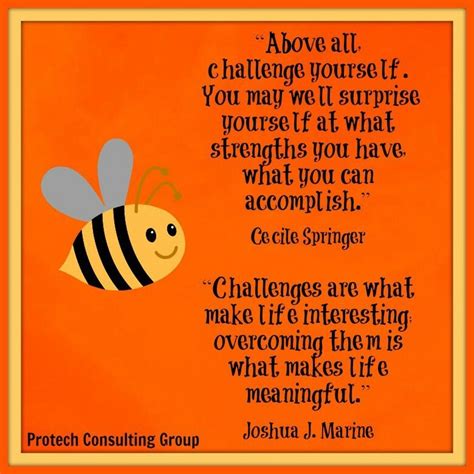 Quotes About Challenge Yourself 115 Quotes