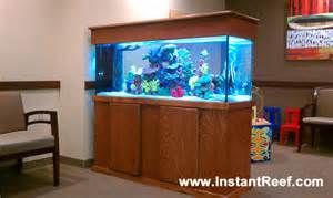 90 gallon saltwater fish tank My 90 Gallon reef tank Saltwaterfish 