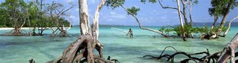 Andaman Package Islands Tour Services In Phase 1 New Delhi Corporate