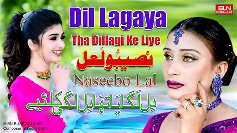Dil Lagaya Tha Dillagi Ke Liye Naseebo Lal New Punjabi Song 2024