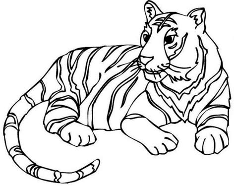 Belajar Mewarnai Gambar Harimau Riset