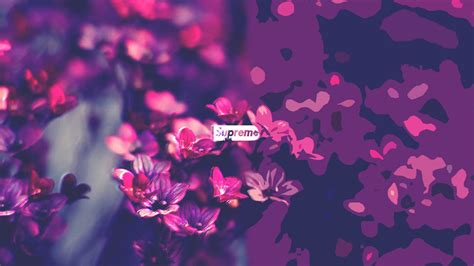 A collection of the top 25 2048x1152 banner wallpapers and backgrounds available for download for free. Purple Supreme Wallpapers - Wallpaper Cave