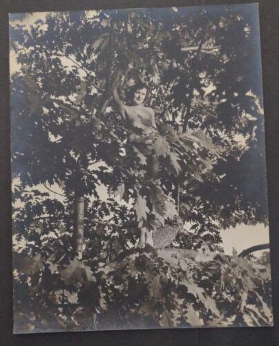 1950s Original 11 X 14 Nude Photo Mature Buxom Redhead In A Tree Vv Ebay
