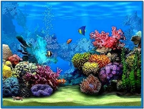 Fish Aquarium Screensaver Windows Xp Download Screensaversbiz