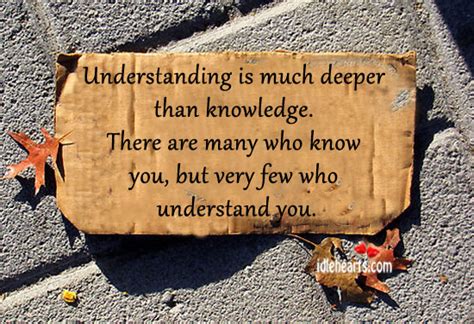 Understanding Is Much Deeper Than Knowledge Idlehearts