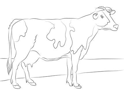 C for cow coloring page: Holstein Cow coloring page | SuperColoring.com | Cow ...
