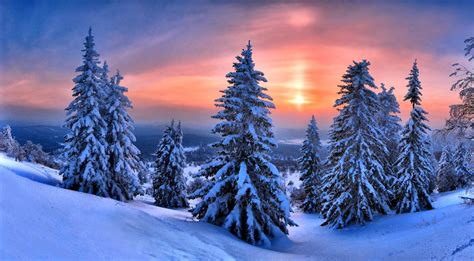 Ngắm Những Hình ảnh Tuyết Rơi Mùa đông đẹp Nhất Trên Khắp Thế Giới