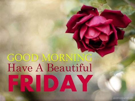 Have A Beautiful Friday Quotes Shortquotescc