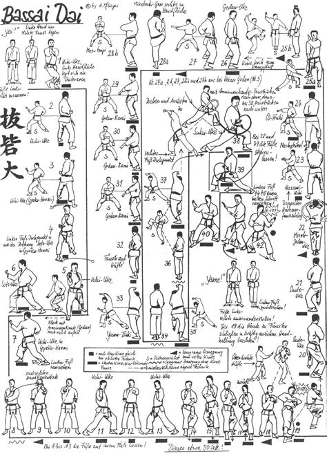 Karate kata are executed as a specified series of a variety of moves, with stepping and turning, while attempting to maintain perfect form. karate world: Kata Names and Movements with Pictures and Video