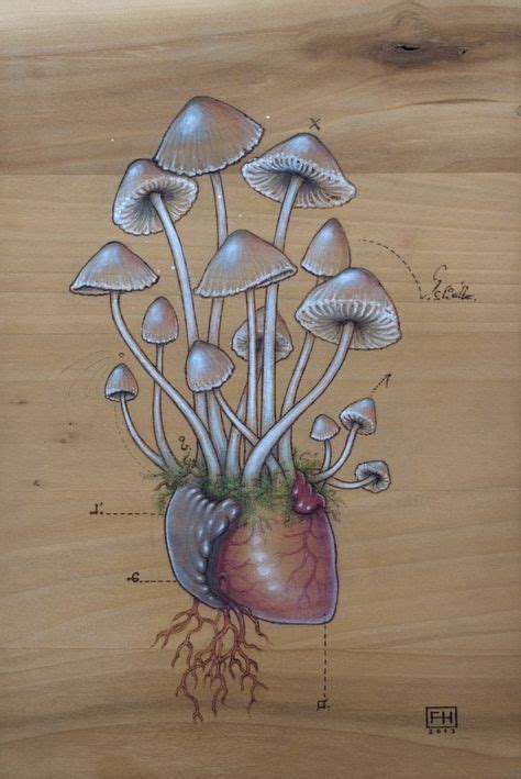 89 Best Groovy Shroom Images In 2019 Mushroom Art Drawings Fungi