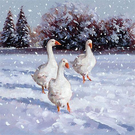 Buy Museums Galleries Geese Charity Christmas Cards Pack Of Online